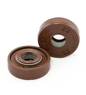 Oil Seal