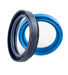 Back-Up Ring